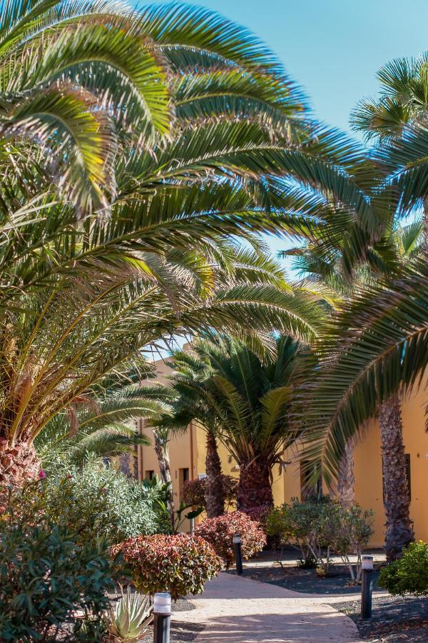 Fuerteventura Apartments Tamarindo 1 コラレホ エクステリア 写真