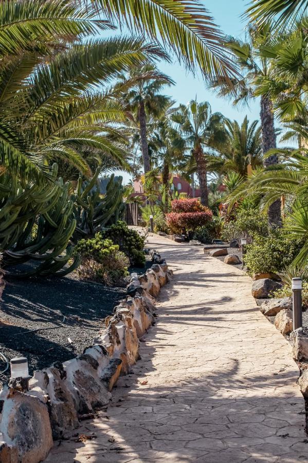 Fuerteventura Apartments Tamarindo 1 コラレホ エクステリア 写真